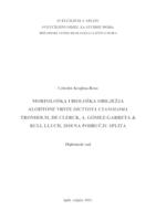 prikaz prve stranice dokumenta Morfološka i biološka obilježja alohtone vrste Dictyota cyanoloma Tronholm, De Clerck, A. Gomez-Garreta, Rull Lluch, 2010 na području Splita