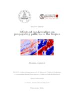 prikaz prve stranice dokumenta Effects of condensation on propagating patterns in the tropics