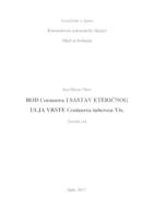 prikaz prve stranice dokumenta Rod Centaurea i sastav eteričnog ulja vrste Centaurea tuberosa Vis.